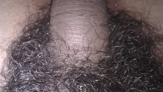 Showing highly thick hairy dick video 