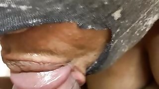 Indian desi Aunty Sucking Young Cock