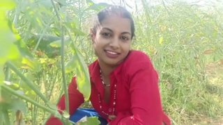 Cheating the sister working on the farm by luring cash In hindi voice