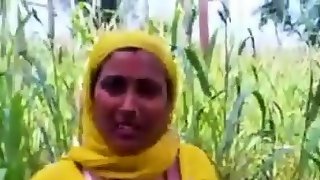 Indian tear up in a corn camp