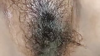 Hairy Rohni